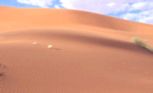 Vagues sur une dune
